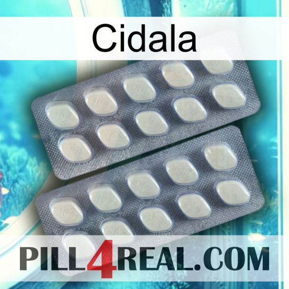 Cidala 07.jpg